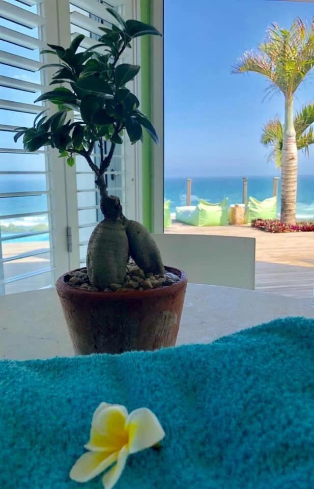 Nakai Beach Homestay Trafalgar Екстериор снимка